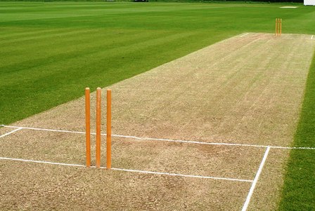 Cricket pitch 4
